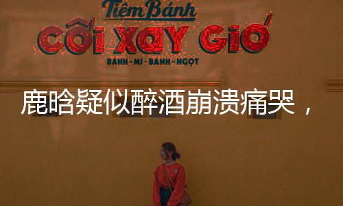 鹿晗疑似醉酒崩潰痛哭，引發(fā)網(wǎng)友熱議