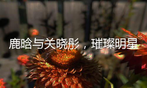 鹿晗與關(guān)曉彤，璀璨明星的浪漫碰撞——一二三四五六七八九十揭秘
