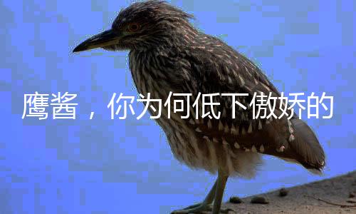 鷹醬，你為何低下傲嬌的頭？