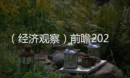 （經(jīng)濟觀察）前瞻2025：中國房地產(chǎn)市場或現(xiàn)四大變化