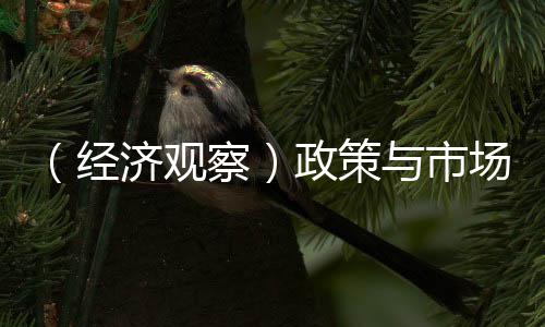 （經(jīng)濟觀察）政策與市場“雙向驅動” 科技企業(yè)并購重組“潮涌”