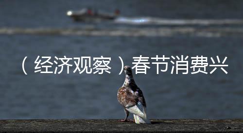 （經(jīng)濟(jì)觀察）春節(jié)消費(fèi)興起“文化熱” 文旅市場(chǎng)創(chuàng)意無(wú)限
