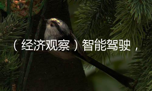 （經(jīng)濟(jì)觀察）智能駕駛，中國車企的“新賽場”