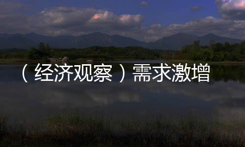 （經(jīng)濟(jì)觀察）需求激增 中國(guó)算力產(chǎn)業(yè)加速生長(zhǎng)
