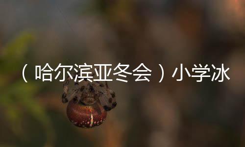 （哈爾濱亞冬會(huì)）小學(xué)冰球館化身亞冬冰壺館獲點(diǎn)贊