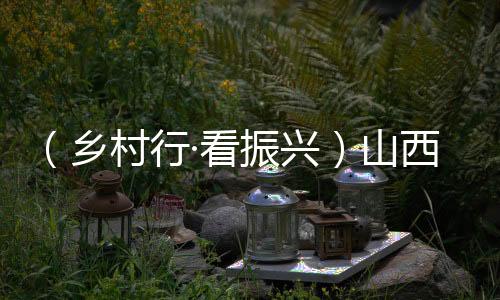 （鄉(xiāng)村行·看振興）山西高平：大棚蔬菜育苗忙  萬象“耕”新繪“豐”景