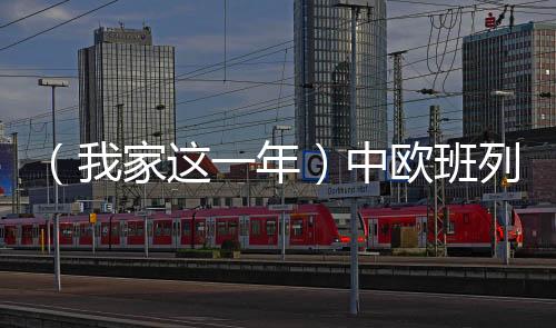 （我家這一年）中歐班列（西安）司機(jī)的跨國(guó)愛(ài)情