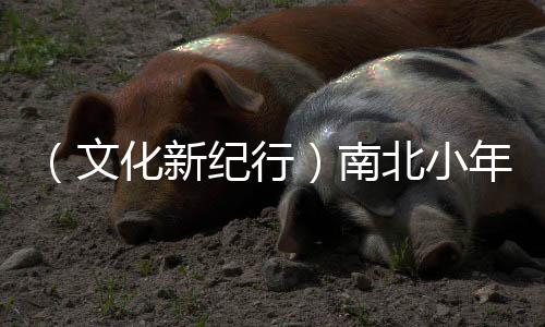 （文化新紀(jì)行）南北小年為何“打開方式”不同？