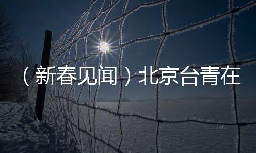 （新春見(jiàn)聞）北京臺(tái)青在“鼓舞”中迎接新年
