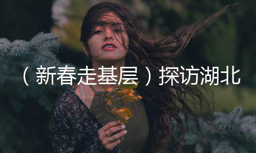 （新春走基層）探訪湖北云夢縣博物館：讓歷史文化“觸手可及”