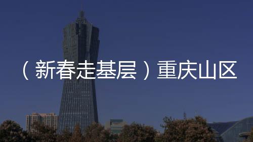 （新春走基層）重慶山區(qū)的通信“守望者”：翻山越嶺 踏雪巡檢