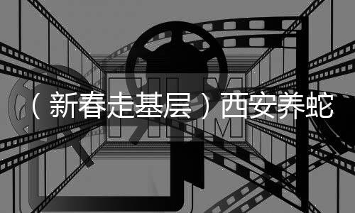 （新春走基層）西安養(yǎng)蛇達人談蛇寵走俏：“蛇年圖吉利”