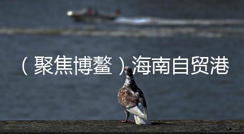 （聚焦博鰲）海南自貿(mào)港受關(guān)注 專家建言開放合作