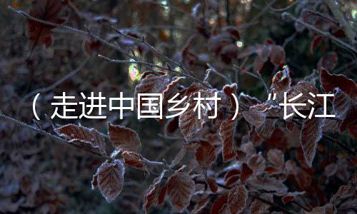 （走進(jìn)中國鄉(xiāng)村）“長江蔬菜島”的飛行故事