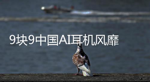 9塊9中國AI耳機風靡全球，老外爭相搶購