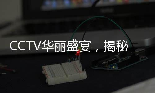 CCTV華麗盛宴，揭秘?zé)艋痂仓埂?025央視元宵晚會背后的故事