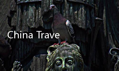 China Travel邂逅中國年，深度體驗(yàn)中華文化的魅力之旅