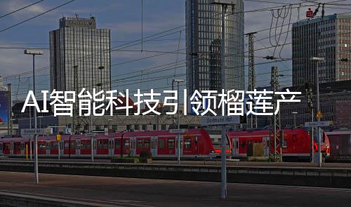 AI智能科技引領(lǐng)榴蓮產(chǎn)業(yè)革新，精準(zhǔn)挑選出肉率高達50%的榴蓮果實