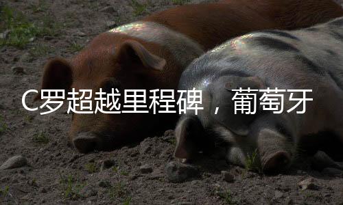 C羅超越里程碑，葡萄牙之魂的榮耀百戰(zhàn)場(chǎng)