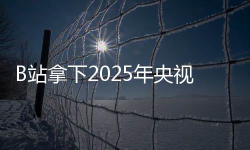 B站拿下2025年央視春晚轉(zhuǎn)播權(quán)：獨(dú)家彈幕視頻平臺(tái)