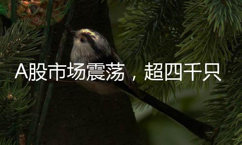 A股市場震蕩，超四千只股票遭遇下跌潮
