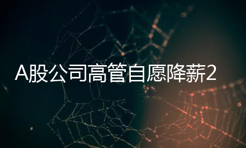 A股公司高管自愿降薪20%直至盈利——團(tuán)結(jié)危機(jī)中的企業(yè)與員工