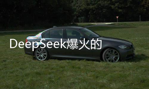 DeepSeek爆火的啟示，洞悉熱門背后的多重因素與發(fā)展前景