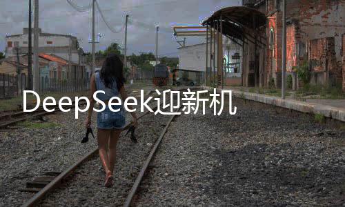 DeepSeek迎新機(jī)遇面臨冷靜觀察——業(yè)內(nèi)潑冷水現(xiàn)象深度解析