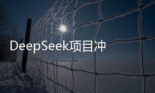 DeepSeek項目沖擊結(jié)束，未來展望引人矚目