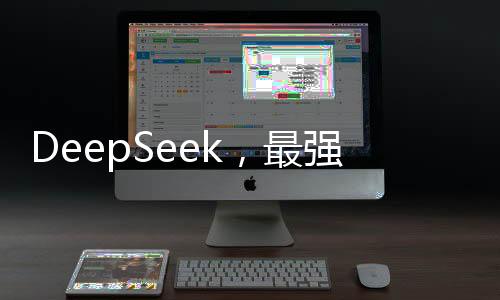 DeepSeek，最強女委員，無人能敵的格斗風采