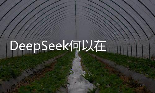 DeepSeek何以在AI賽道上實(shí)現(xiàn)突圍？