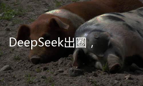 DeepSeek出圈，概念股曝光，引領(lǐng)新一輪科技熱潮