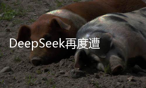 DeepSeek再度遭遇宕機問題，技術(shù)故障引發(fā)業(yè)界關(guān)注