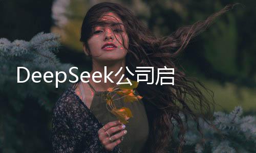 DeepSeek公司啟動實習生招募計劃，日薪最高達上千，開啟全新實習體驗篇章