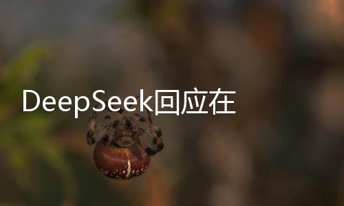 DeepSeek回應(yīng)在兩會(huì)走紅，嘿嘿