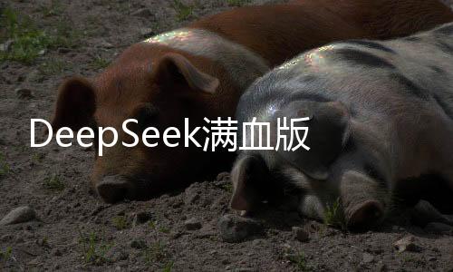 DeepSeek滿血版，全新升級，引領(lǐng)科技新紀(jì)元