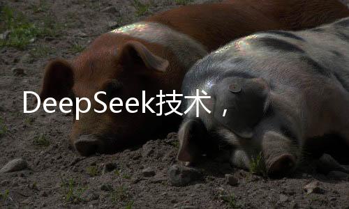 DeepSeek技術(shù)，醫(yī)生的新伙伴，助力醫(yī)療領(lǐng)域邁向新高度