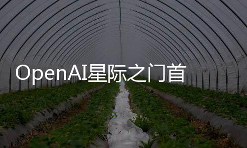 OpenAI星際之門首個(gè)項(xiàng)目曝光 配備40萬個(gè)英偉達(dá)芯片