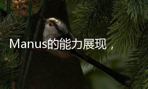 Manus的能力展現(xiàn)，多樣工作的探索與實(shí)踐
