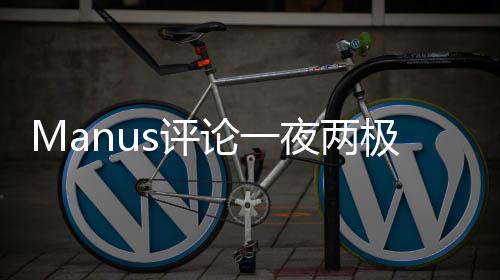 Manus評(píng)論一夜兩極分化，網(wǎng)民熱議的背后隱藏的真相？