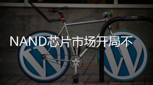NAND芯片市場開局不利，行業(yè)面臨嚴(yán)峻挑戰(zhàn)