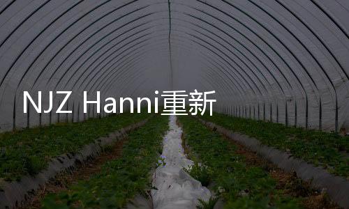 NJZ Hanni重新獲得簽證 非法滯留爭議解決