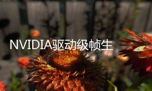 NVIDIA驅(qū)動(dòng)級(jí)幀生成Smooth Motion將下放RTX 40系顯卡