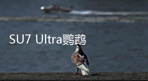 SU7 Ultra鸚鵡綠官圖發(fā)布，今晚上市，引領(lǐng)科技新潮流