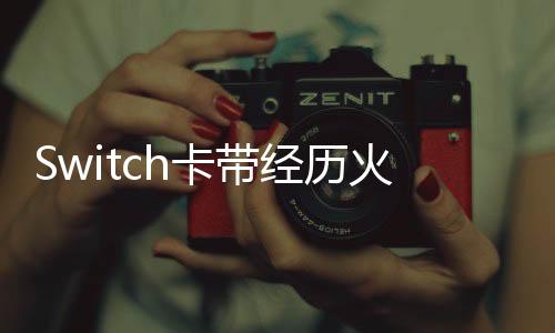 Switch卡帶經歷火災毫發(fā)無損，一場意想不到的奇跡