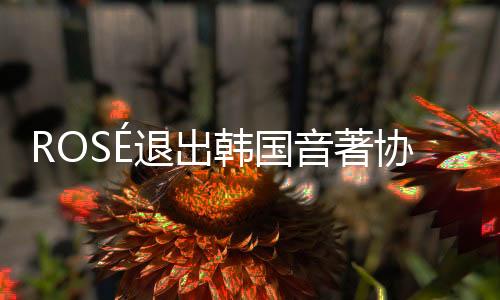 ROSé退出韓國(guó)音著協(xié) 將由美國(guó)著作權(quán)協(xié)會(huì)統(tǒng)一管理