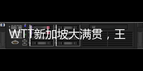 WTT新加坡大滿貫，王曼昱勝梅謝芙——乒乓球賽場上的精彩對決