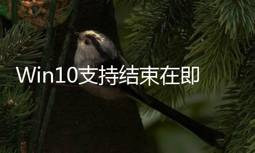 Win10支持結(jié)束在即！Win11份額大增創(chuàng)歷史新高