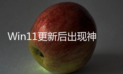 Win11更新后出現(xiàn)神秘文件夾！微軟：別刪，不是Bug