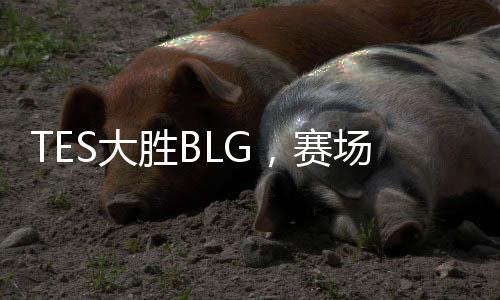 TES大勝BLG，賽場精英再現(xiàn)輝煌